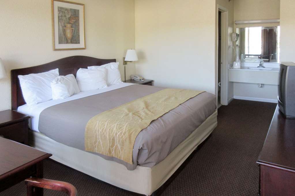 Quality Inn & Suites Pawleys Island Quarto foto